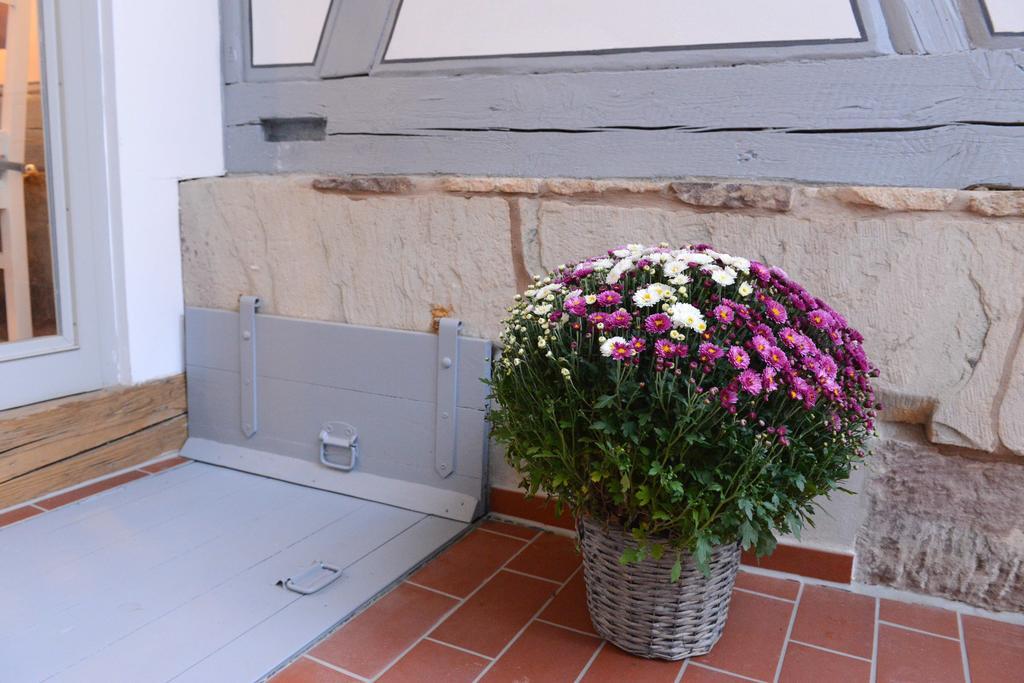 Pension Typisch Naumburg Naumburg  Exterior foto